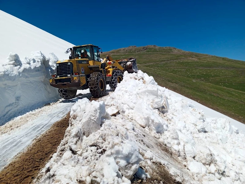 BÜYÜKŞEHİR YAYLA YOLLARINDA SORUNLARA NEŞTER VURUYOR