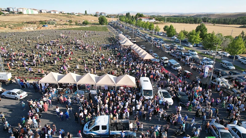 KIRŞEHİR BELEDİYESİ LAVANTA ŞÖLENİNE BİNLERCE KİŞİ KATILDI