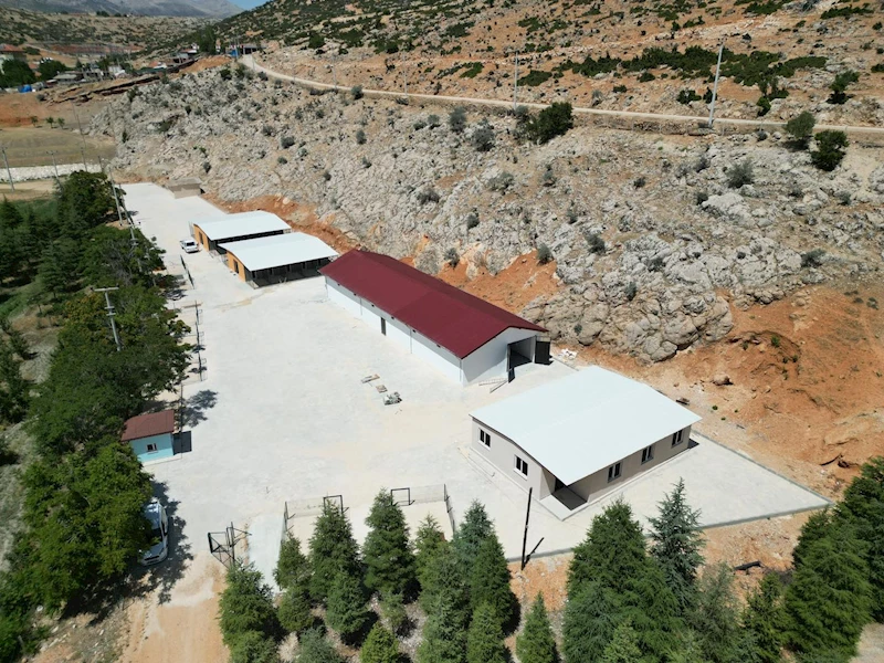 Hayvan Bakımevi Projemiz