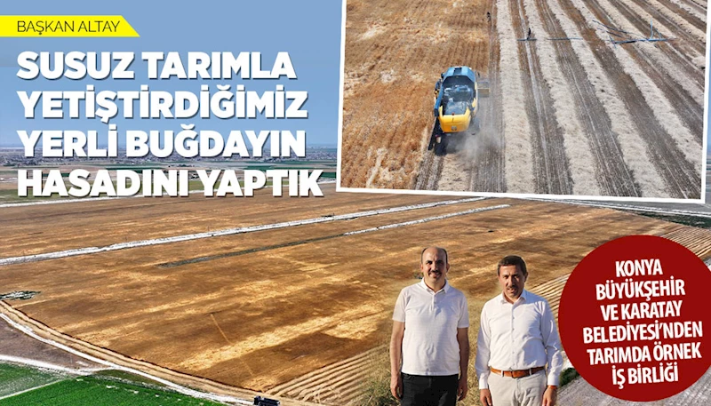 BAŞKAN ALTAY: “SUSUZ TARIMLA YETİŞTİRDİĞİMİZ YERLİ BUĞDAYIN HASADINI YAPTIK”