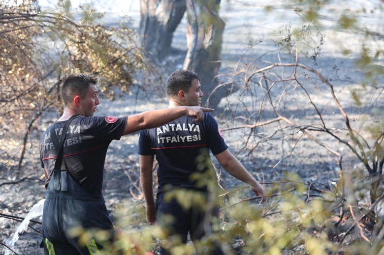 Antalya Büyükşehir İtfaiyesi alevlerle mücadele ediyor