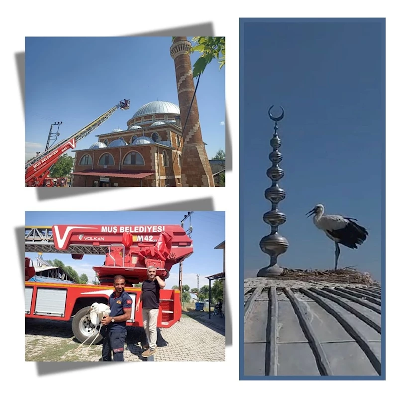 MUŞ BELEDİYESİ İTFAİYE EKİPLERİ, YUVASINDAN DÜŞEN LEYLEK YAVRUSUNU KURTARDI