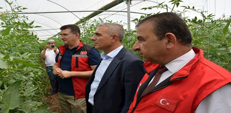 SİVEREK BELEDİYESİNE AİT SERALAR GENİŞLETİLİYOR