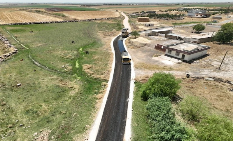 Büyükşehir Viranşehir