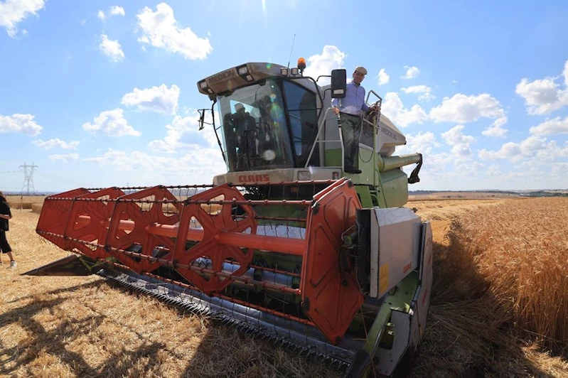 DENEME TOHUMLARININ İLK HASADINI YAPTI