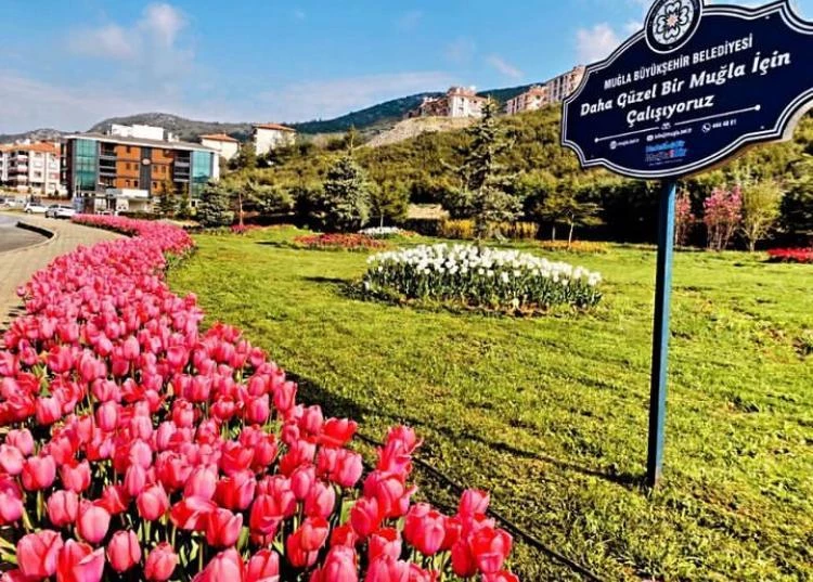 Büyükşehir’den Muğla’ya 59 Futbol Sahası Büyüklüğünde Yeşil Alan