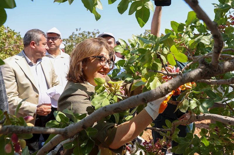 BAŞKAN ŞAHİN BARAK OVASI