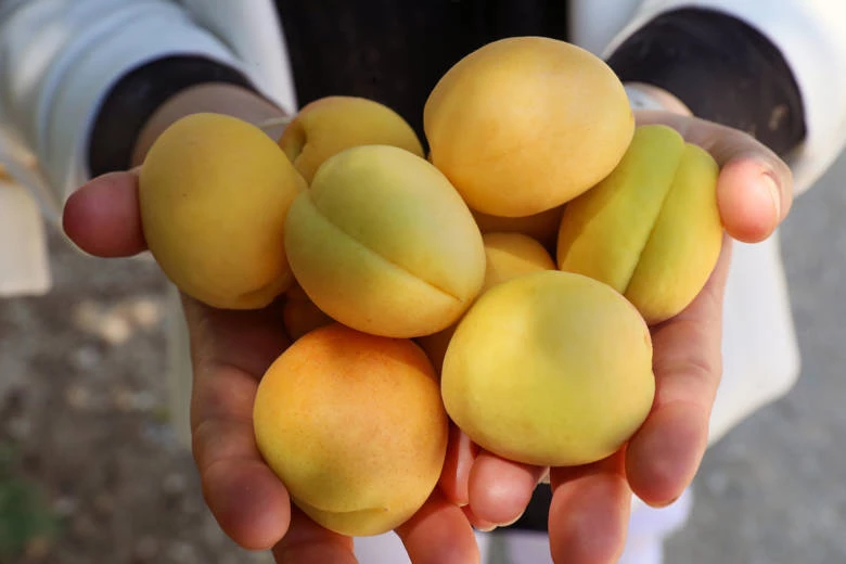 Yukarıkaraman’ın sulama sorunu ortadan kalkıyor