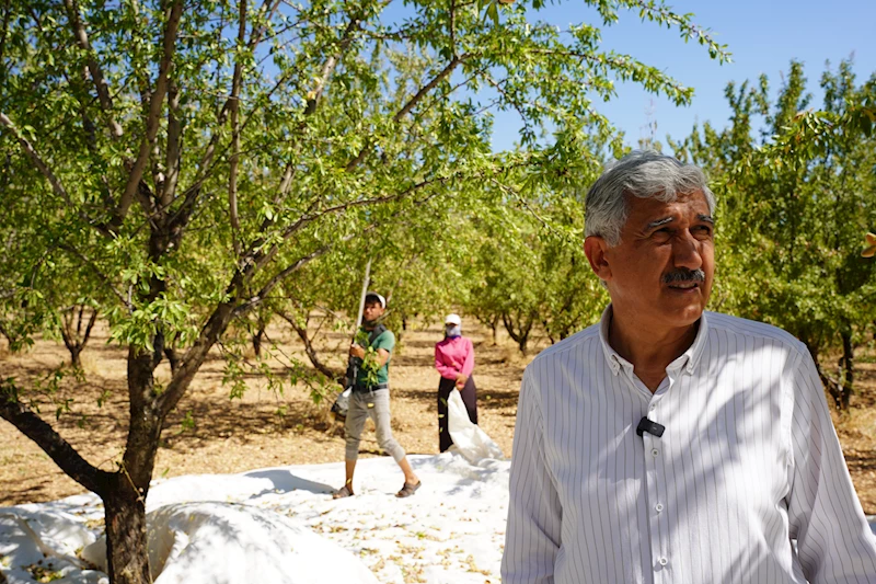 BADEM HASADI YAPAN ÇİFTÇİLERİMİZ İLE BERABERİZ