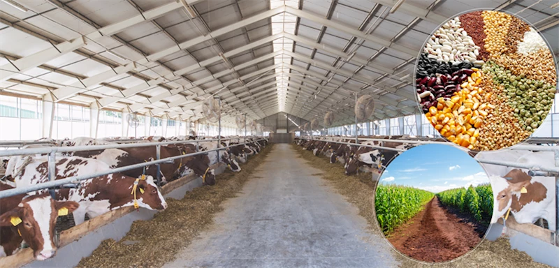 BAKAN YUMAKLI : “1,9 MİLYAR LİRALIK TARIMSAL DESTEKLEME ÖDEMESİNİ ÇİFTÇİLERİMİZİN HESAPLARINA AKTARDIK”