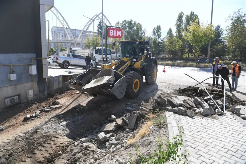 Muş