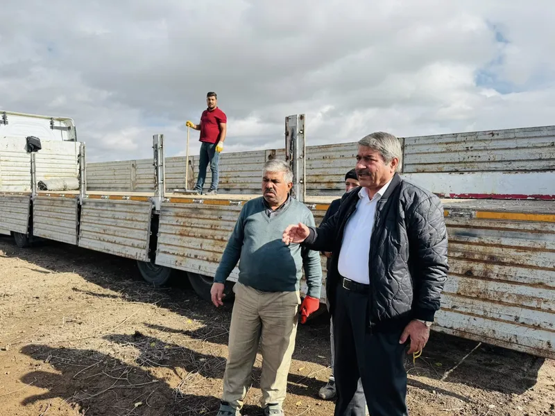 Patnos Seyir Tepesi