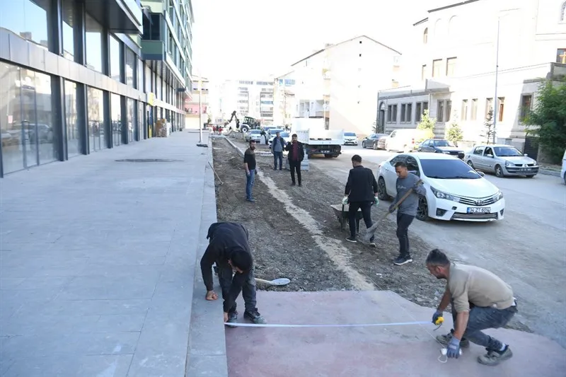 Muş Saray Mahallesi