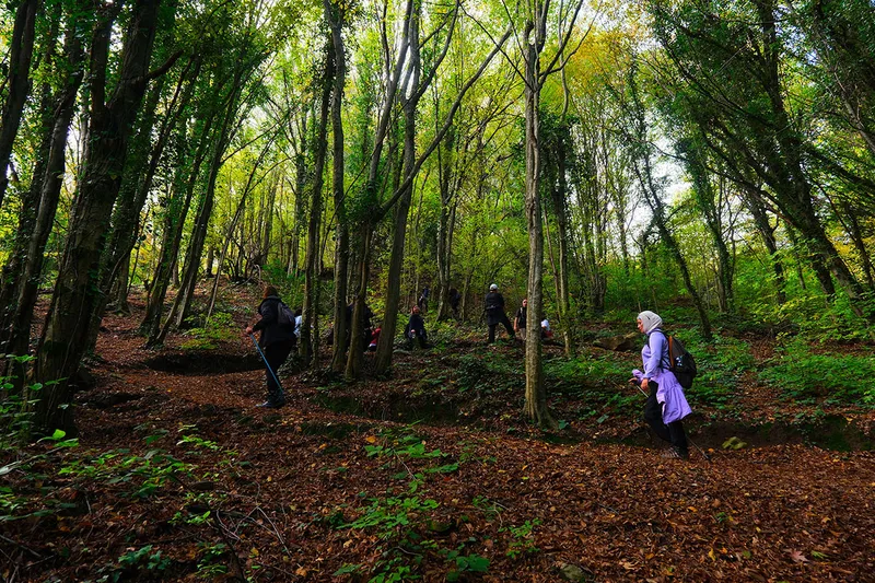 Sonbahar Doğa Yürüyüşleri Geyve Doğançay Parkuru