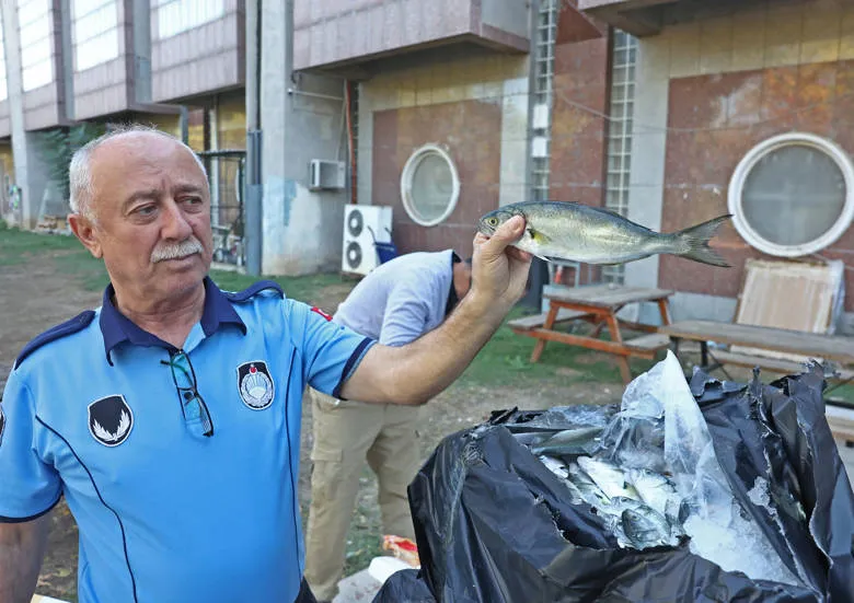 Antalya Otogarında Usulsüz Hayvan ve Balık Taşımacılığına Operasyon