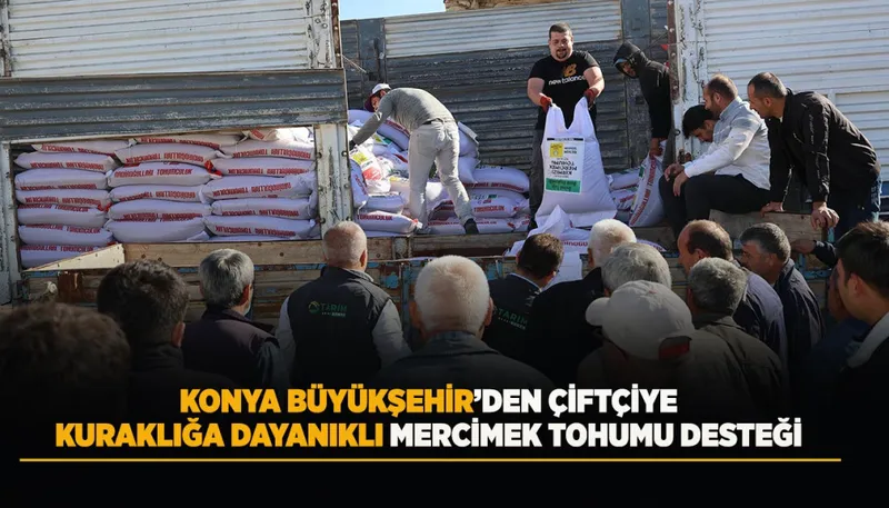 Konya Çiftçilere Kuraklığa Dayanıklı Mercimek Tohumu Desteği