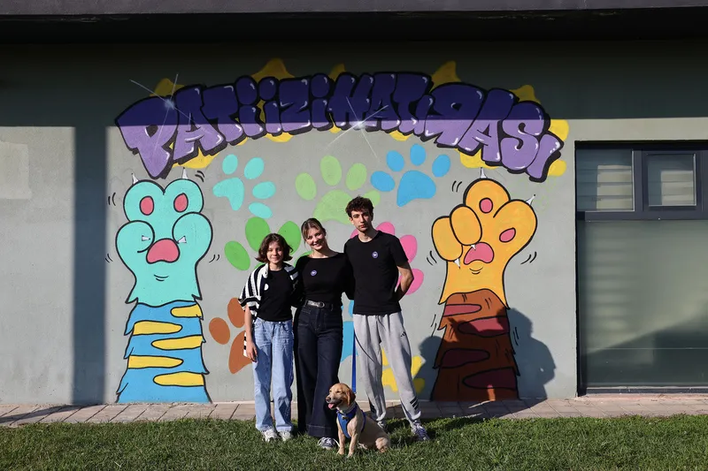 Pati İzi Projesi 500