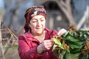 Yalovalı Çiftçiler Dünya Toprak Günü