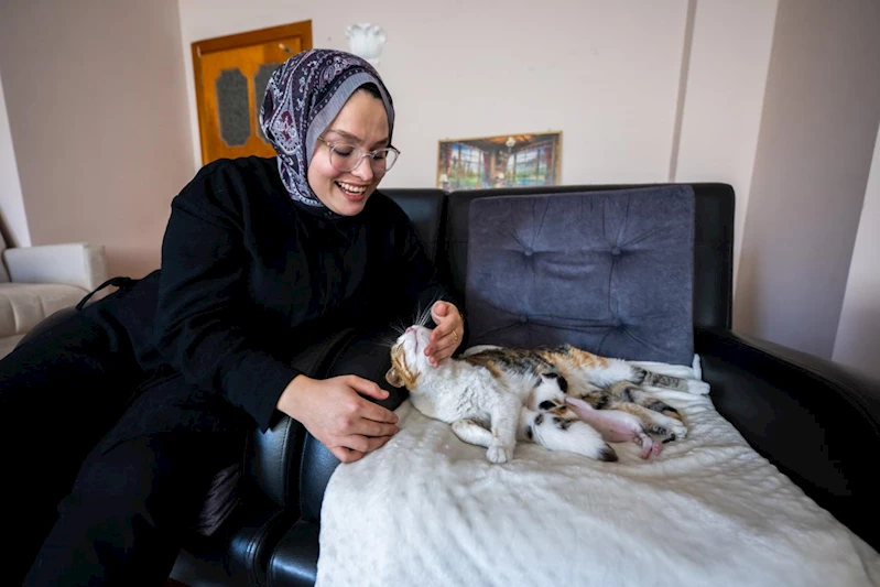 Camiye Sığınan Anne Kedi ve Yavruları Büyükşehir Sayesinde Yeni Yuvasında