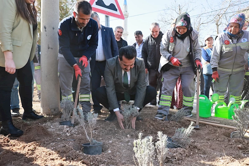 PAMUKKALE BELEDİYESİ GÖZLER’E 25 BİN 104 LAVANTA DİKTİ