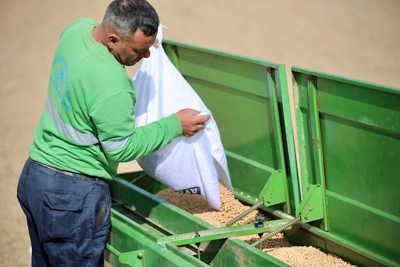 BELEDİYEYE AİT TARIM ARAZİLERİNDE NOHUT EKİMİ BAŞLADI