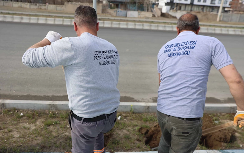 Doğayla İç İçe Bir Iğdır İçin Çalışıyoruz!