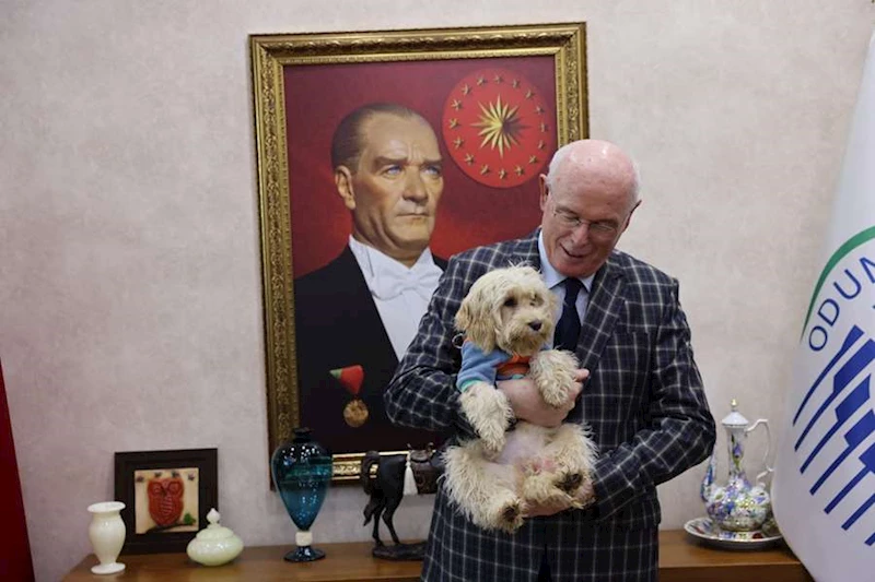 KAZIM KURT’TAN DÜNYA SOKAK HAYVANLARI GÜNÜ’NDE ANLAMLI MESAJ: “SAHİPLENMEK, BİR CANIN HAYATINA DOKUNMAKTIR”