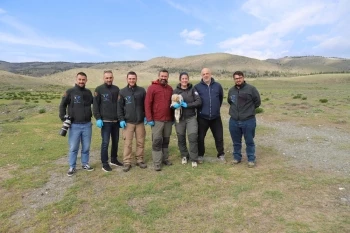 ESKİŞEHİR’DE BAŞLADI, AFRİKA’YA UÇTU: MİDAS ÜÇÜNCÜ KEZ DÖNDÜ