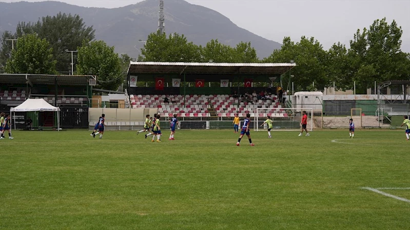 Denizli Büyükşehir Belediyesi’nden yeşil dönüşüm hamlesi