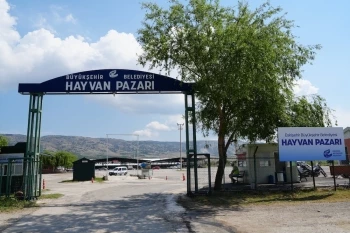 HAYVAN PAZARI KURBAN BAYRAMI’NA HAZIR YENİ KESİM ALANI VE MODERN TESİSLER HİZMETE GİRDİ
