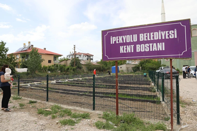 İpekyolu Belediyesi Kent Bostanı’nda Ekime Başladı