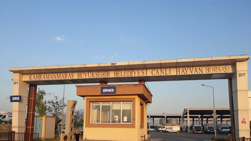 Kurbanlık Hayvan Satış Fiyatları Belirlendi