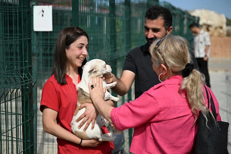 Mersin Barosu Hayvan Hakları Komisyonu, Patiköy’ü Ziyaret Etti