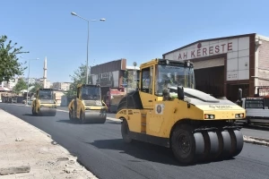 Bağlar