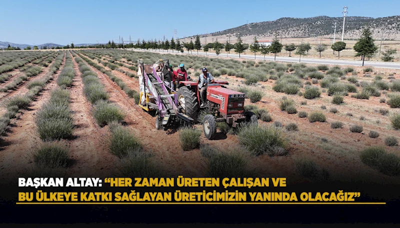 KONYA BÜYÜKŞEHİR’İN DESTEĞİYLE GÜNEYSINIR’DA ÜRETİLEN LAVANTALARIN HASADI YAPILDI