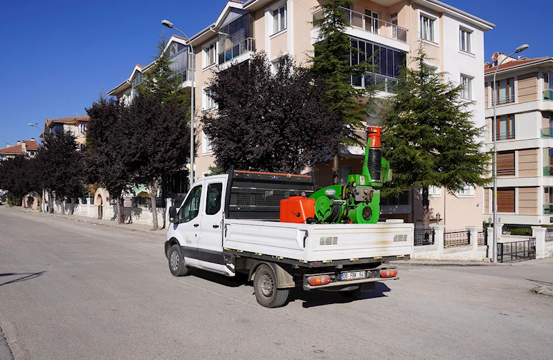 TEPEBAŞI