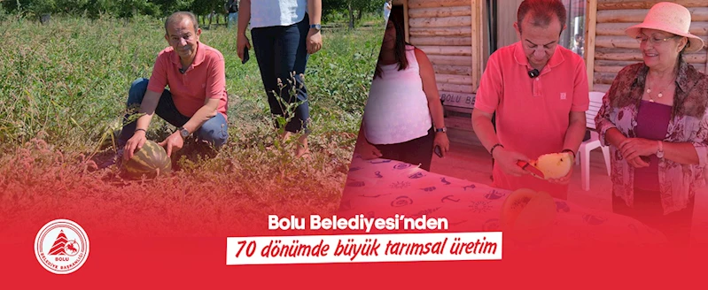 Bolu Belediyesi’nden 70 dönümde büyük tarımsal üretim: