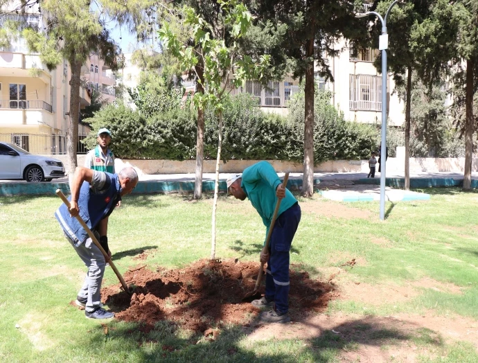HALİLİYE’DE AĞAÇLANDIRMA SEFERBERLİĞİ DEVAM EDİYOR